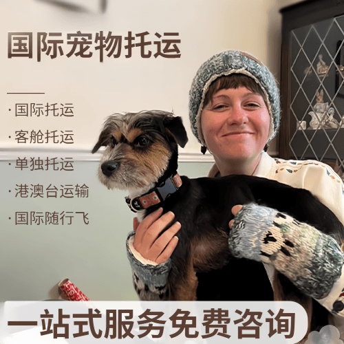武威市国际宠物托运到阿根廷宠物入境规定和要
