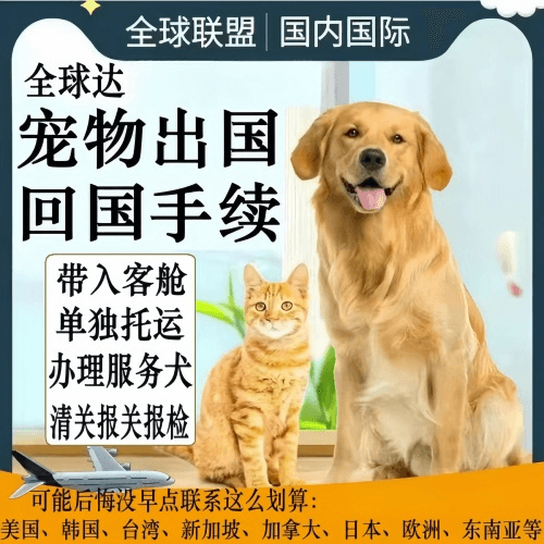武威市宠物托运到柬埔寨宠物入境规定和要求