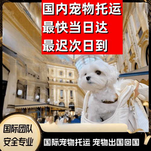 武威市到澳大利亚（澳洲）宠物入境规定和要求