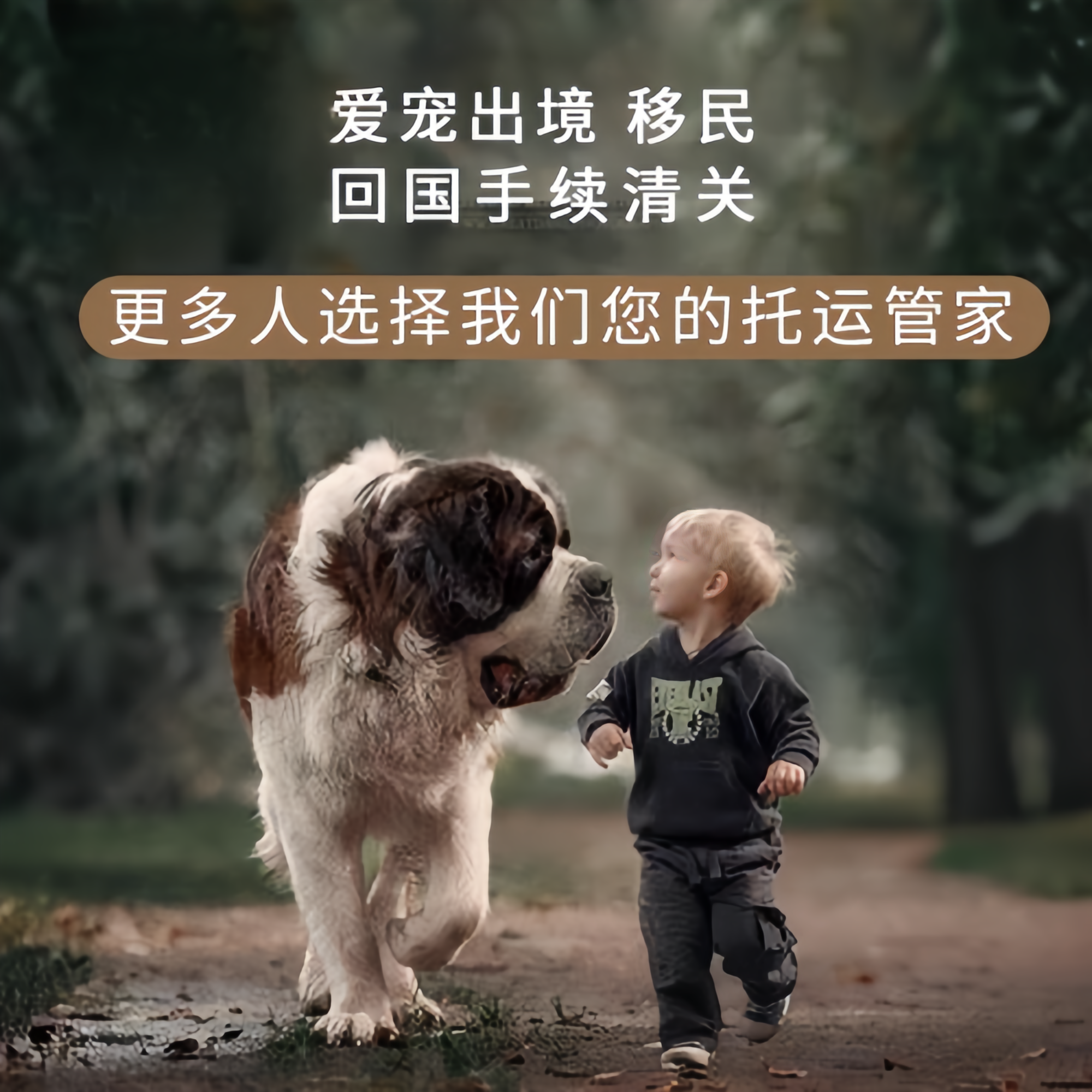 满财武威市宠物全球达宠物托运在遵守入境目的地政策的条件