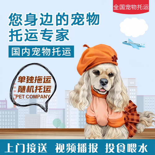 满财武威市宠物全球达宠物托运作为专业的宠物运输代理机构